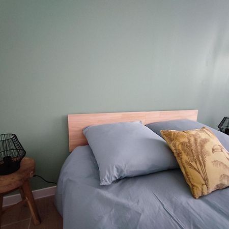 Jardin Entre Cite Et Bastide Apartment Carcassonne Ngoại thất bức ảnh