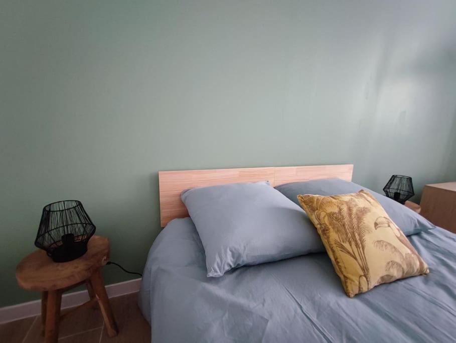 Jardin Entre Cite Et Bastide Apartment Carcassonne Ngoại thất bức ảnh