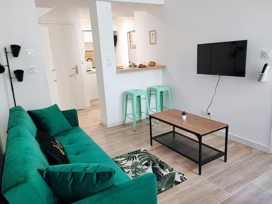 Jardin Entre Cite Et Bastide Apartment Carcassonne Ngoại thất bức ảnh