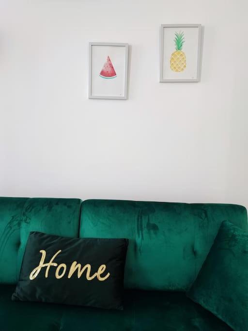 Jardin Entre Cite Et Bastide Apartment Carcassonne Ngoại thất bức ảnh