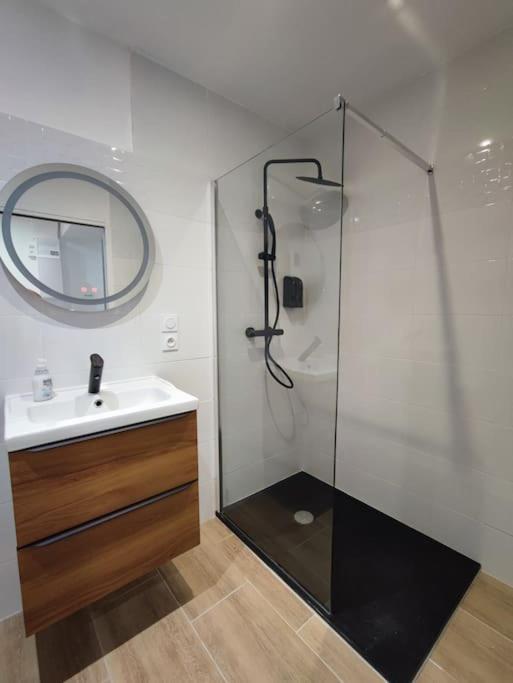Jardin Entre Cite Et Bastide Apartment Carcassonne Ngoại thất bức ảnh
